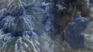 В Новогоднюю ночь, сбываются все мечты.