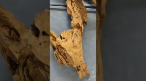 Натуральная мангровая коряга для аквариума