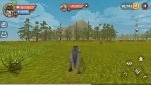 СИМУЛЯТОР МАЛЕНЬКОГО ПИТОМЦА #3 ВОЛЧАТА. Жизнь Зверей Онлайн с Кидом на #ПУРУМЧАТА