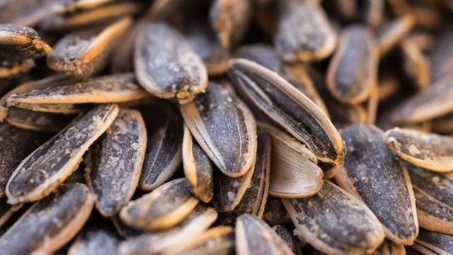 После этого случая семечки не ем. ЧТО ТВОРЯТ СЕМЕЧКИ с организмом?