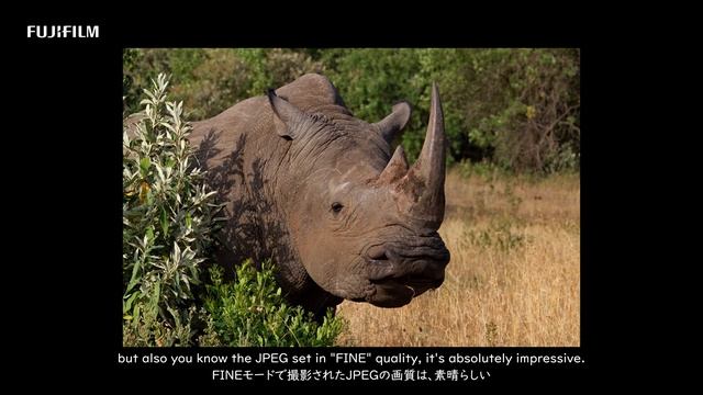 FUJINON XF50-140mmF2.8 R LM OIS WR Promotional video / FUJIFILM смотреть онлайн