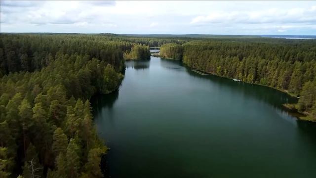 Берестовое озеро  Карельский перешеек DJI mini2