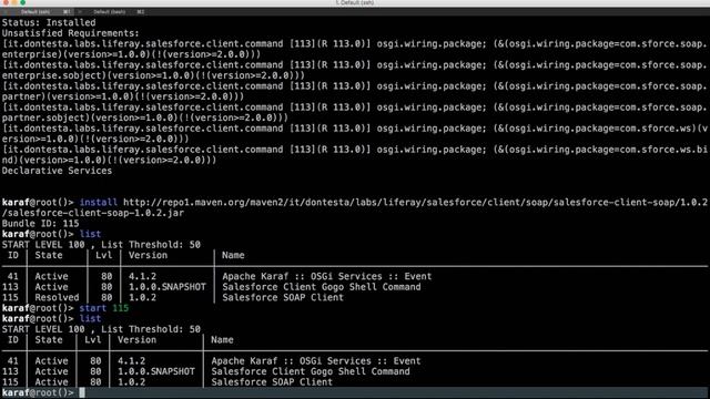 Apache Karaf: Demo Salesforce Gogo Shell Command смотреть онлайн