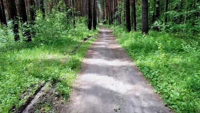 Заельцовский Бор