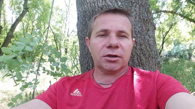 История нашего переезда