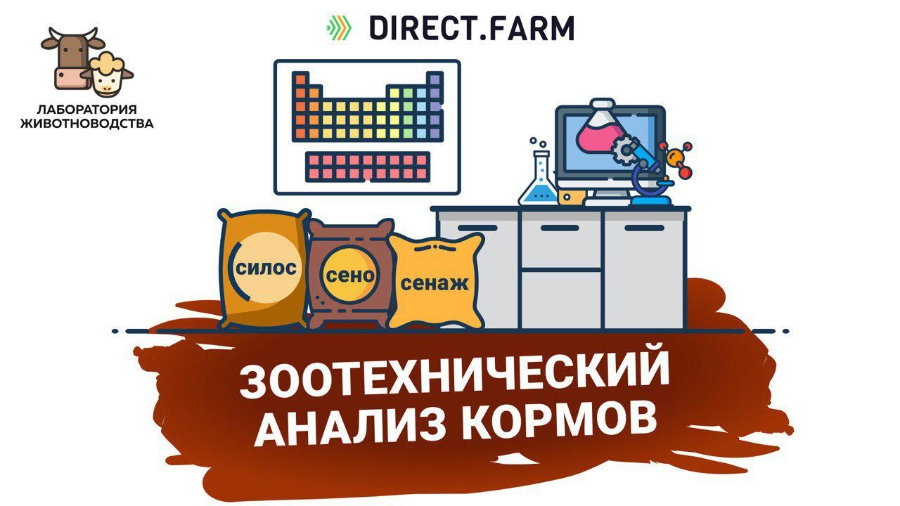 Анализ корма лаборатория. Лабораторные исследования зерна. Анализ корма лаборатория. Исследование кормов в лаборатории. Контроль качества зерна.