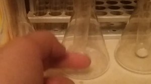 İndiqator lakmus (индикатор лакмус)