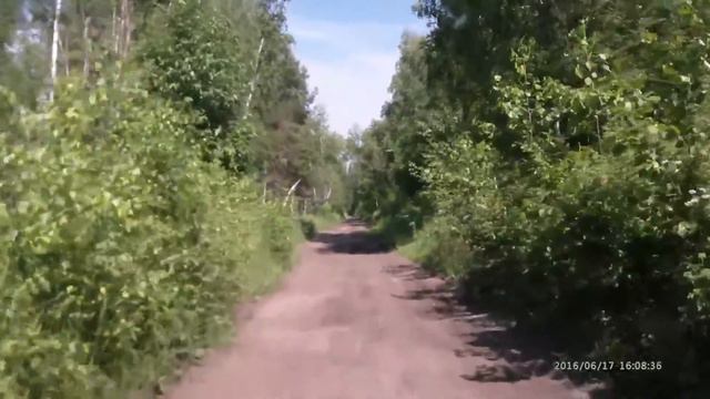 Шатурские  лесные  дороги