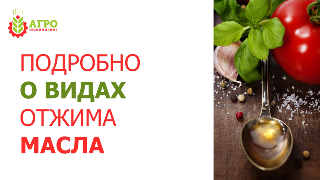 Рассказываем о технологии маслопрессования. Способы, особенности, процессы.