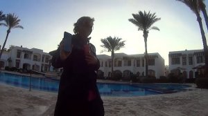 Египет 2021. Coral Hills Resort.    У бассейна