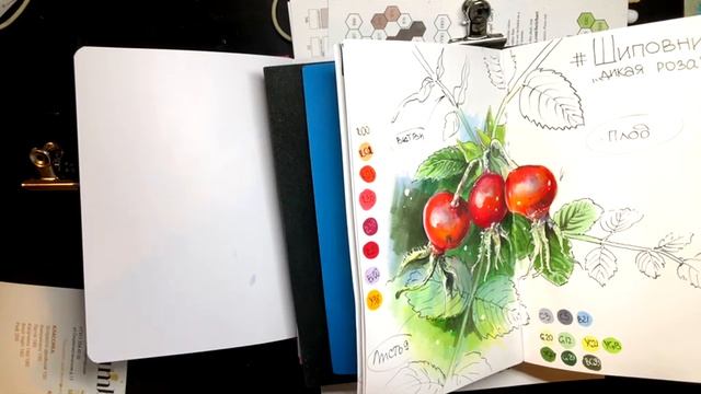Материал Маркеры. Виды Маркеров.