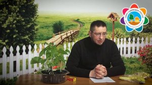 Миф Польза замачивания семян огурцов в молоке и медовой воде