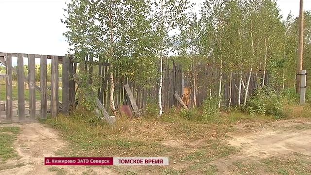 Житель деревни Кижирово, проложил дорогу к своему дому в лесу смотреть онлайн