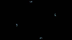 Butterfly Hologram Video HD