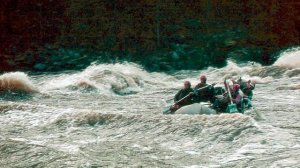 Проект ТАЁЖНОЕ ТАНГО 80 г.