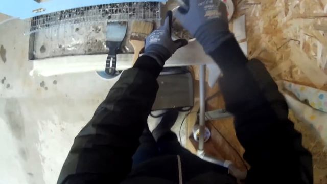 Почему перепела несут яйца без скорлупы? И что с этим делать?