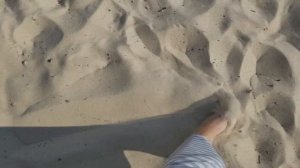 Китайцы в гостях, Прогулка по парку, Покупки ЛЕГО Влог 92 многодетная семья Савченко