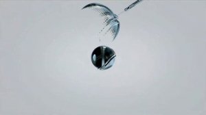 Сборник заставок "РЭШ - Российская электронная школа" 2017-н.в.