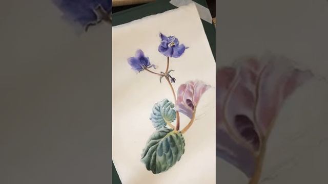 Watercolor African Violet. Part 5./ Как нарисовать фиалку акварелью. Часть 5. смотреть онлайн