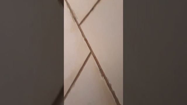 Идея для прихожей смотреть онлайн