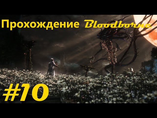 Прохождение Кровавогорождения / Bloodborne walkthrough. Часть 10