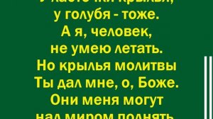 У дикого гуся могучие крылья - минус