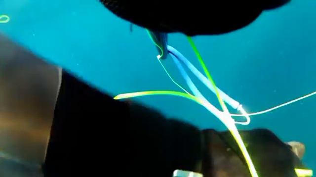 mero 23kg подводная охота Испания смотреть онлайн