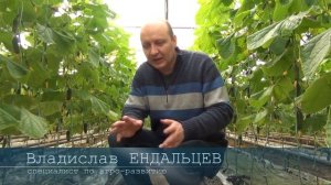 Виды отопления в теплицах