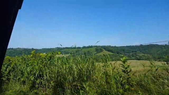 Kentucky Backwoods(3) смотреть онлайн