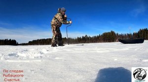 Хороший клев окуня и плотвы/Весенняя рыбалка/Good perch and roach biting/Spring fishing.