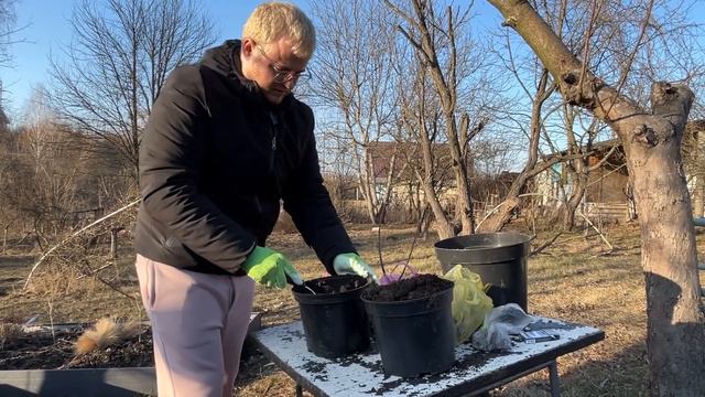 Перша розпаковка 2024. Нові рослини в нашому саду