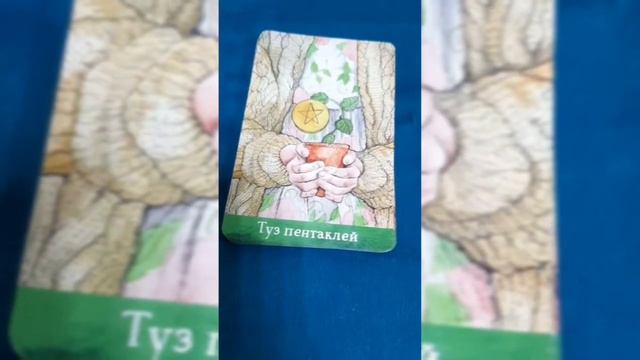 #таро#описание#младшиеарканы#жезлы#пентакли