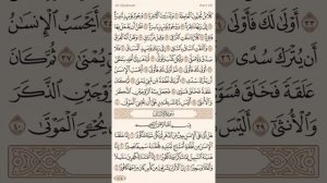 Чтение суры Аль-Къийама (75) Айман Сувейд