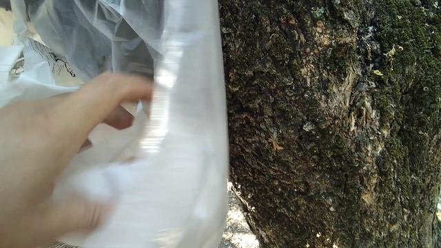 ΤΥΡΟΠΙΤΟΥΛΑ WWW