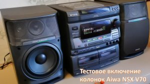 10_Тестовое включение колонок Aiwa NSX V70