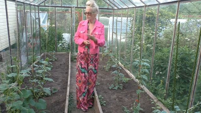 Почему не растут арбузы и дыни? смотреть онлайн