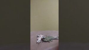 туториал на собаку из бумаги