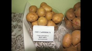 Экскурсия в мир картофеля! Часть 2