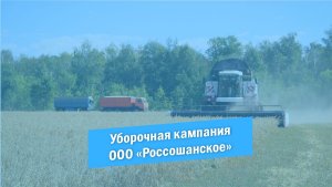 Уборочная кампания | Россошанское | Красноармейск | 2023