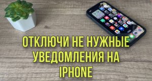 Как отключить уведомления от ненужных приложений на Айфоне? Полезные функции вашего IPhone