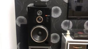 Onkyo M-506 + P-306 + Sony SS-G5 + Marantz CD6003 обзор