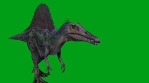 ДИНОЗАВР СПИНОЗАВР ВИДЕО GREEN SCREEN ФУТАЖ.ХРОМАКЕЙ АНИМАЦИЯ НА ЗЕЛЁНОМ ФОНЕ.