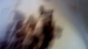 Пчёлы зимой в квартире.