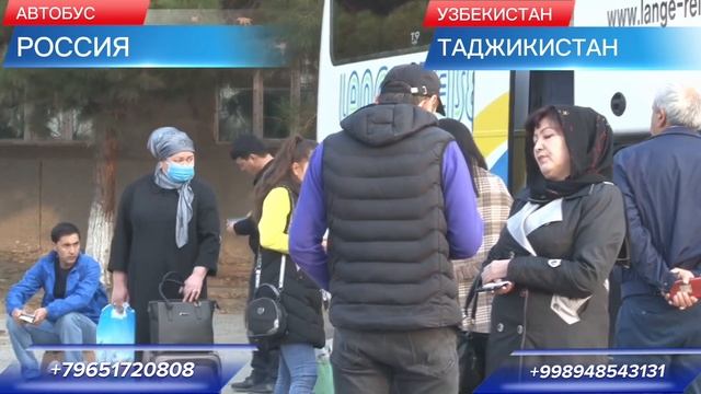 Москва Худжанд Душанбе автобус такси Москва Ташкент такси Россия Таджикистан такси автобус смотреть онлайн