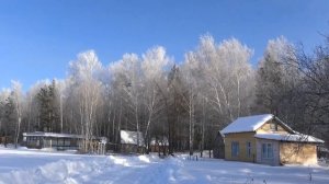 ЗАСНЕЖЕННАЯ НЕЖНОСТЬ.Secret Garden-Lament for a Frozen Flower -