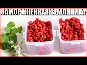 Как заморозить землянику с сахаром на зиму?
