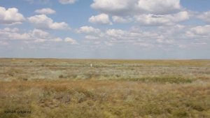 Казахстан - Западно-Казахстанская область, 7км от границы с Россией