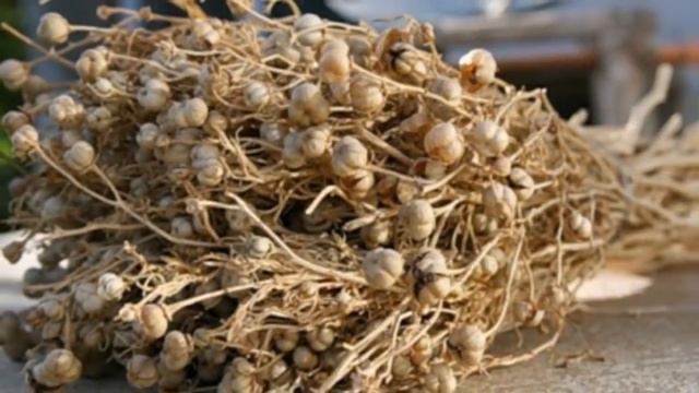 Кичимани Уй Шароитида Даволаш Сирини Ошкор Этамиз...