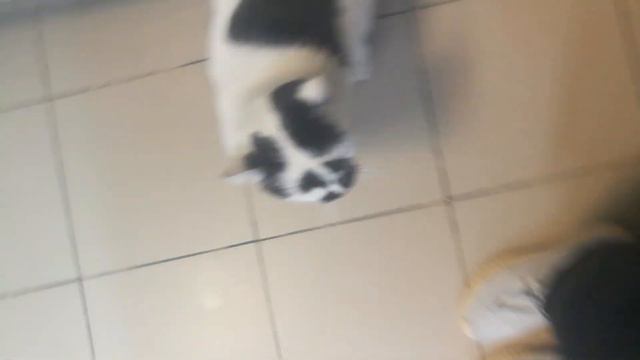 Ну чего так не жить-то 😉 смотреть онлайн