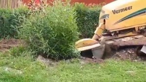 Удаление пней и корней деревьев